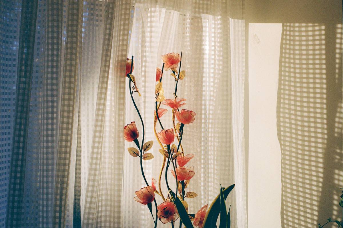 collectible silk plant how to use displayed on a mid-century console table with books and ceramic vase