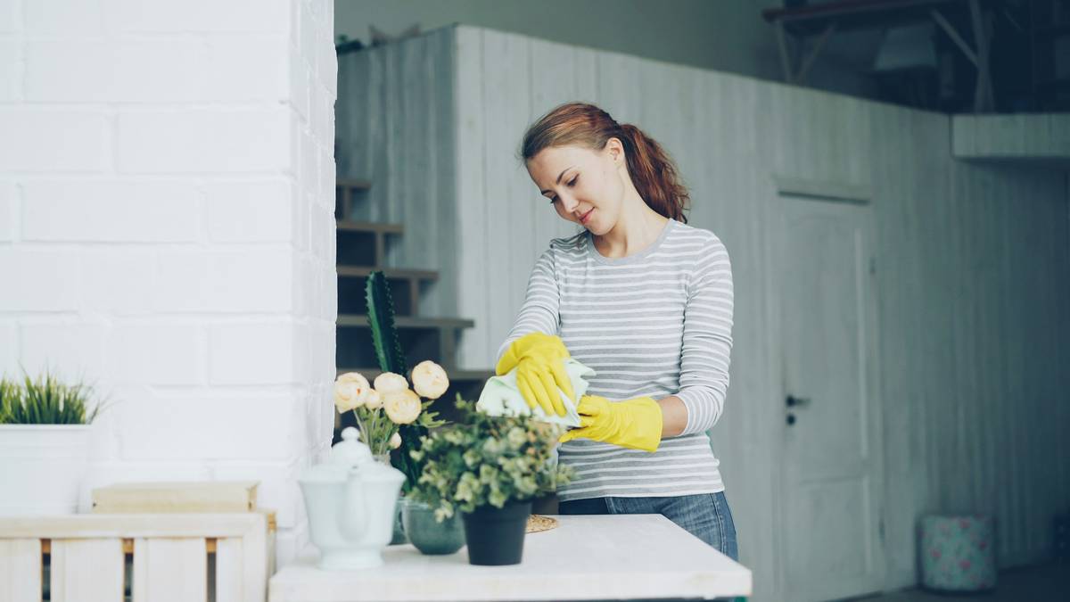 Close-up of hands gently brushing dust off a vintage collectible silk plant how to clean demonstration