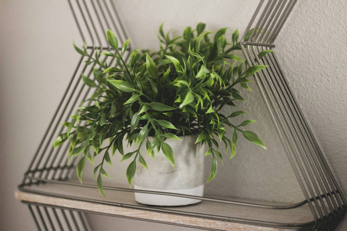 collectible silk plant home decor near estate sale discovery