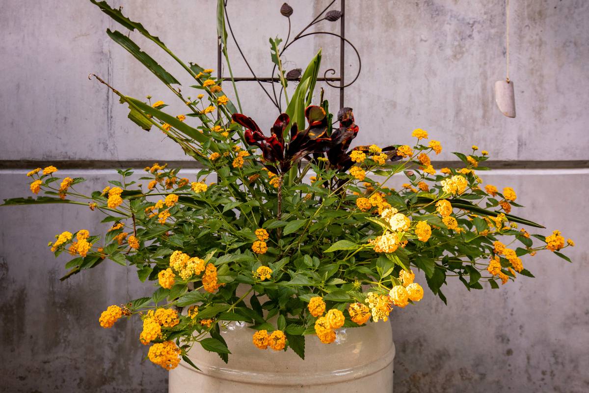 storage display silk plant fake yellow on a white floating shelf beside woven baskets and ceramic vases