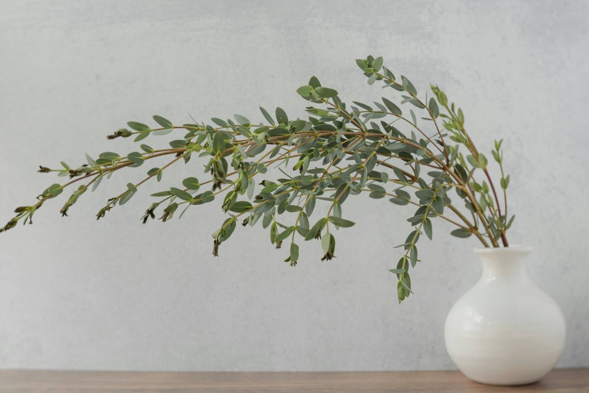 Realistic silk plants for indoor display on a minimalist console table with natural light