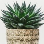 Silk Plants for Indoor: 7 Proven Tips to Avoid Costly Mistakes