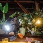 Storage Display Silk Plant Small Home: 7 Proven Tips to Avoid Costly Mistakes