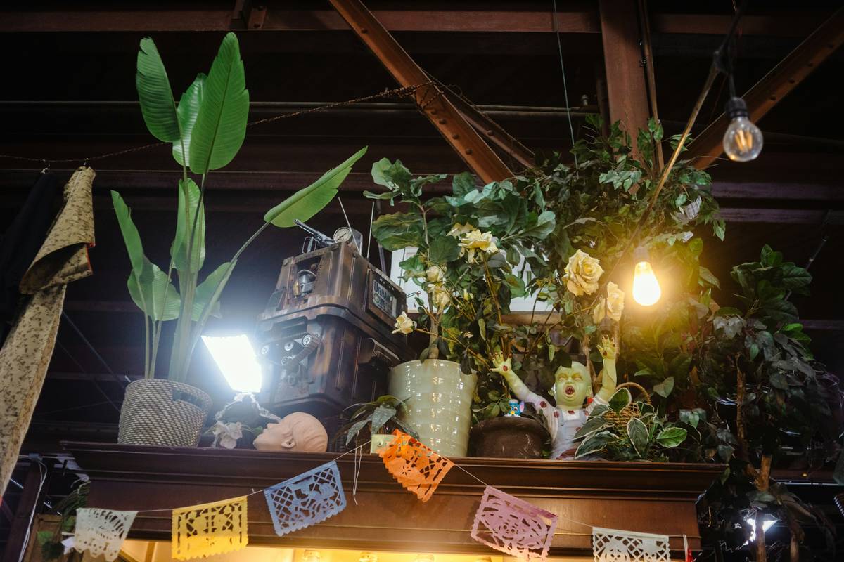 Storage Display Silk Plant Small Home: 7 Proven Tips to Avoid Costly Mistakes